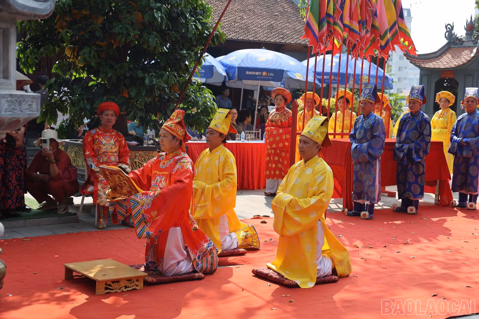 baolaocai-br_img-8869.jpg