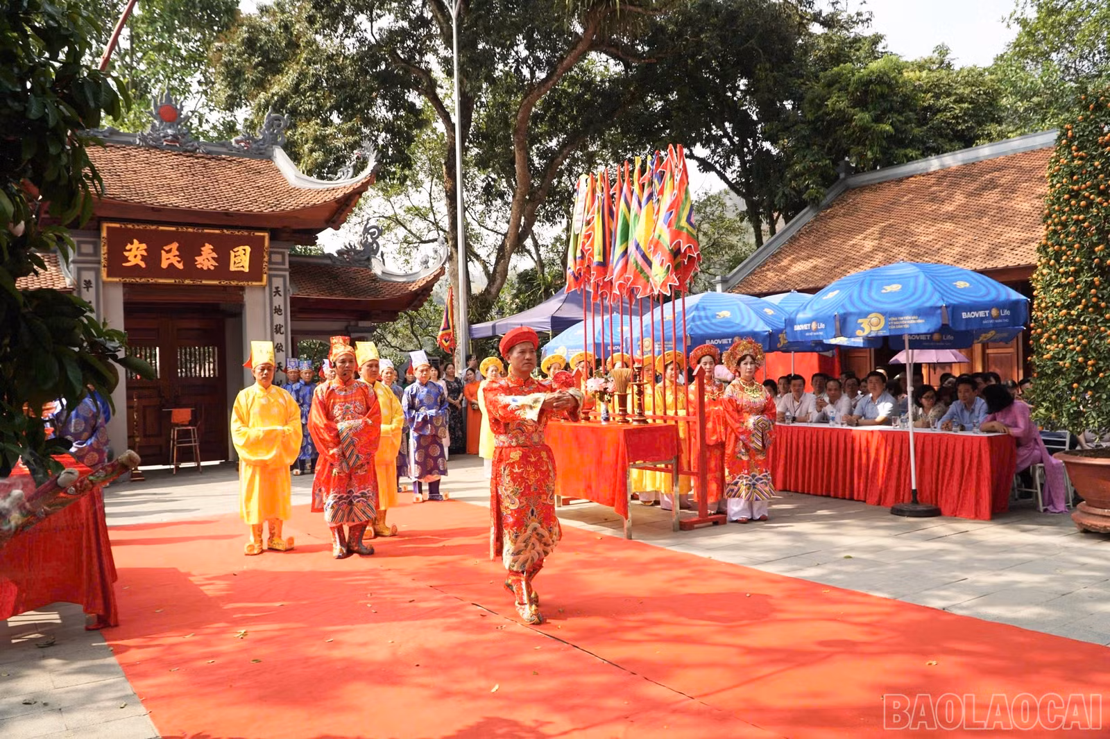 baolaocai-br_img-8873.jpg