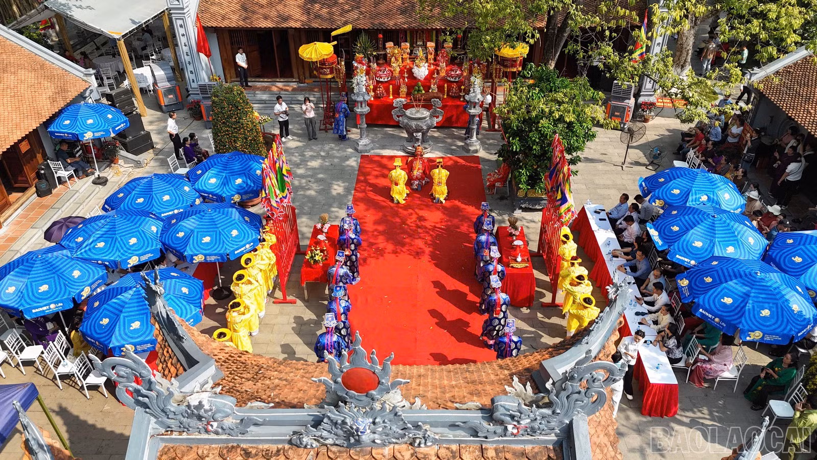 baolaocai-br_img-8871.jpg