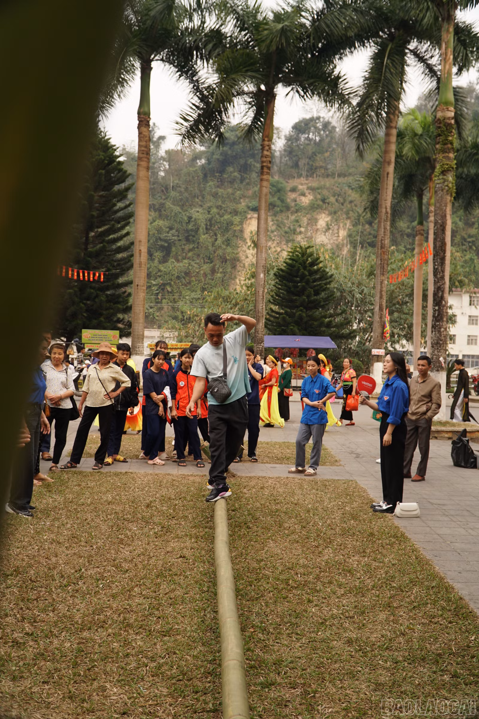 baolaocai-br_save-20260302-120129.jpg