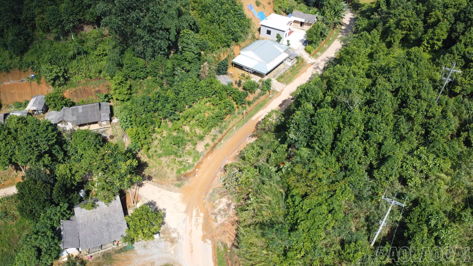 baolaocai-br_save-20251009-133057.jpg