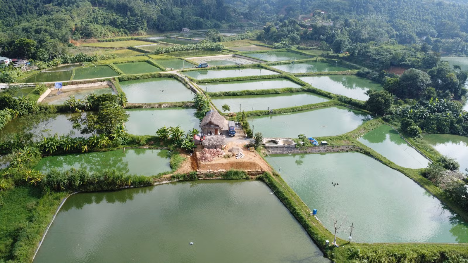 save-20251009-133141.jpg