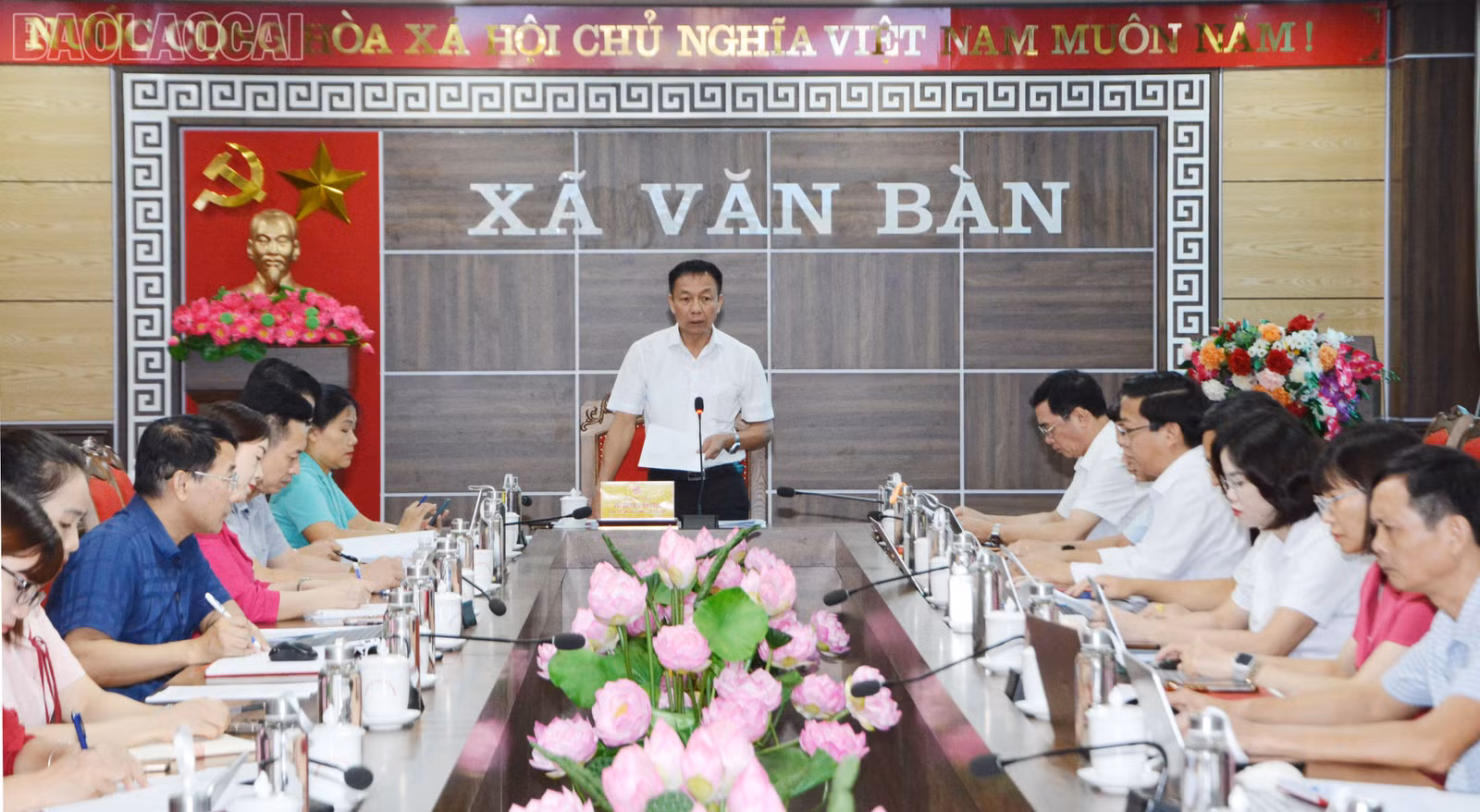 baolaocai-tl_dsc-8564.jpg