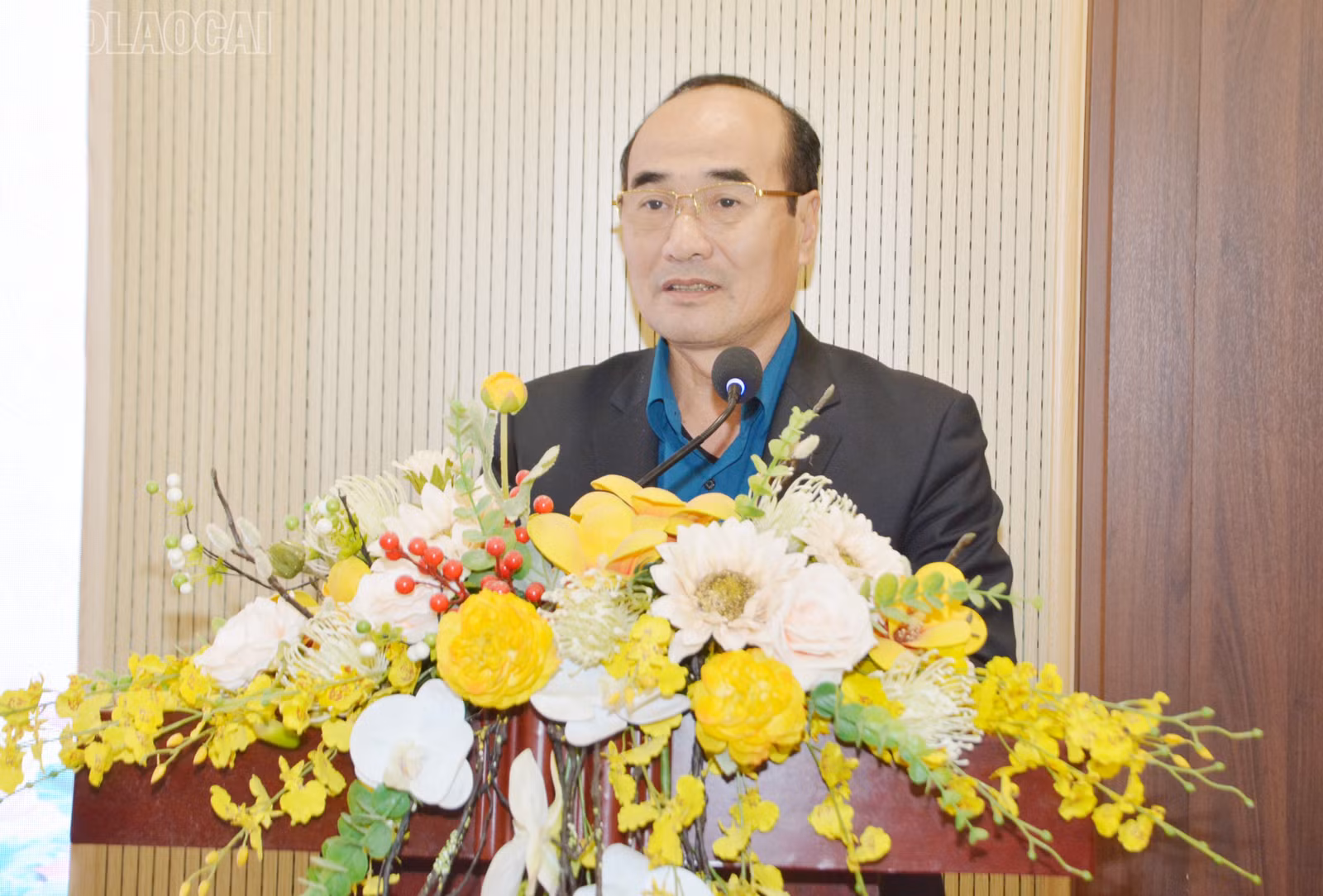 baolaocai-tl_dsc-2962.jpg