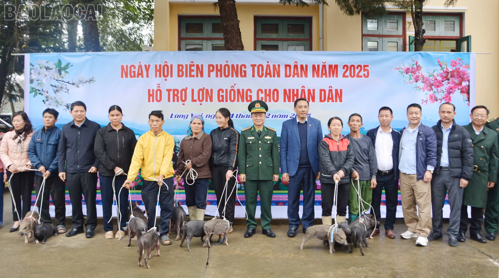 baolaocai-tl_dsc-4924.jpg