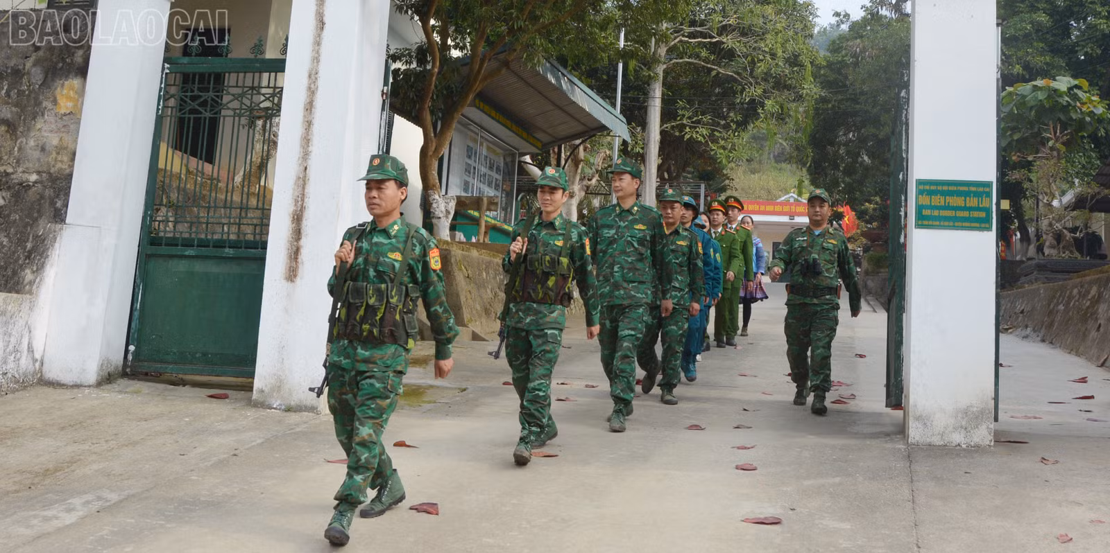 baolaocai-tl_dsc-1814.jpg