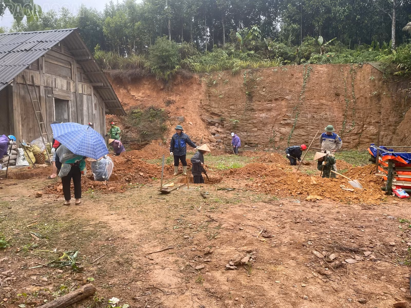 baolaocai-tl_z6468690715554-84b2c0d1bfc91405801471bc7e41063c.jpg