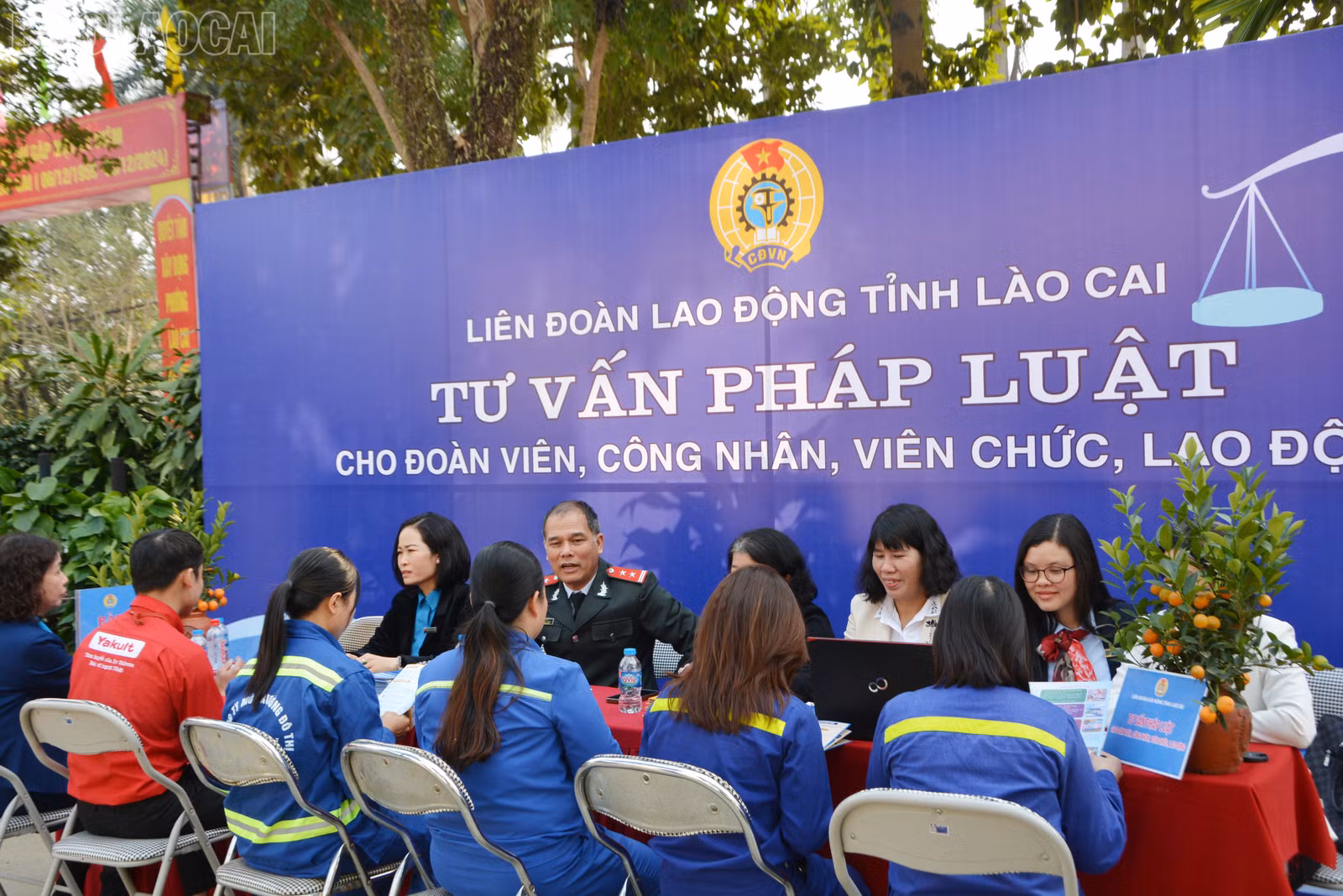 baolaocai-tl_dsc-4115-1068.jpg
