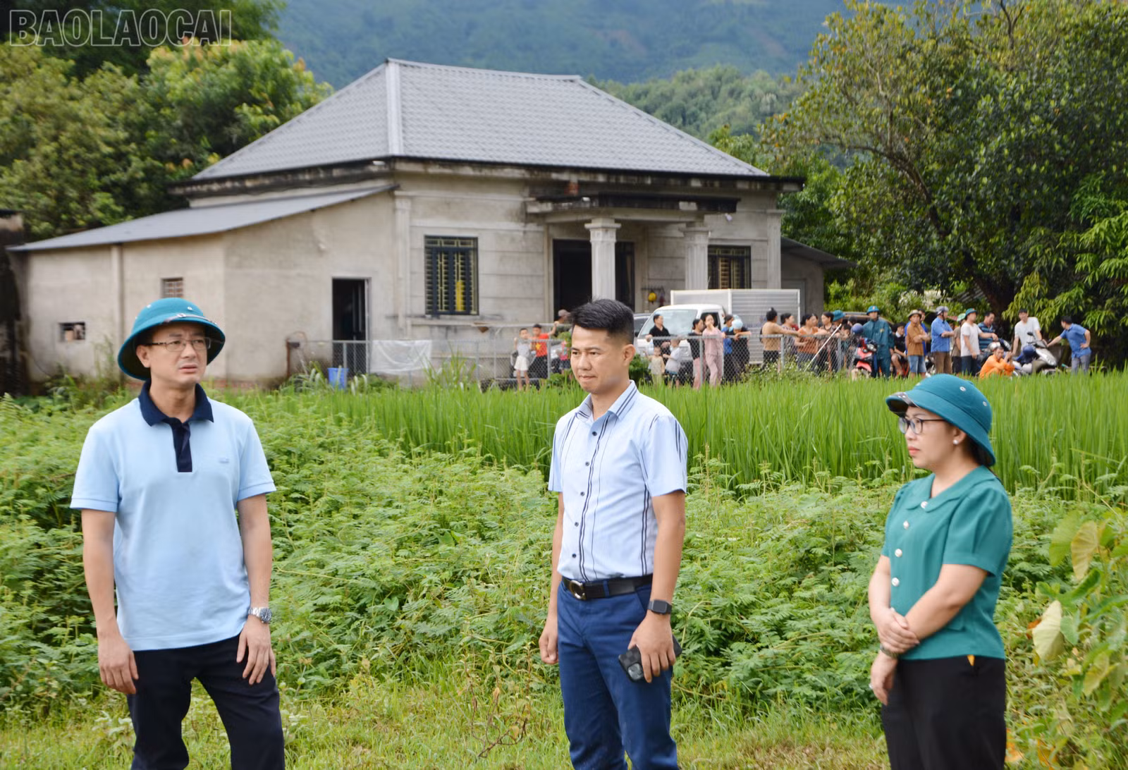 baolaocai-tl_dsc-8881.jpg