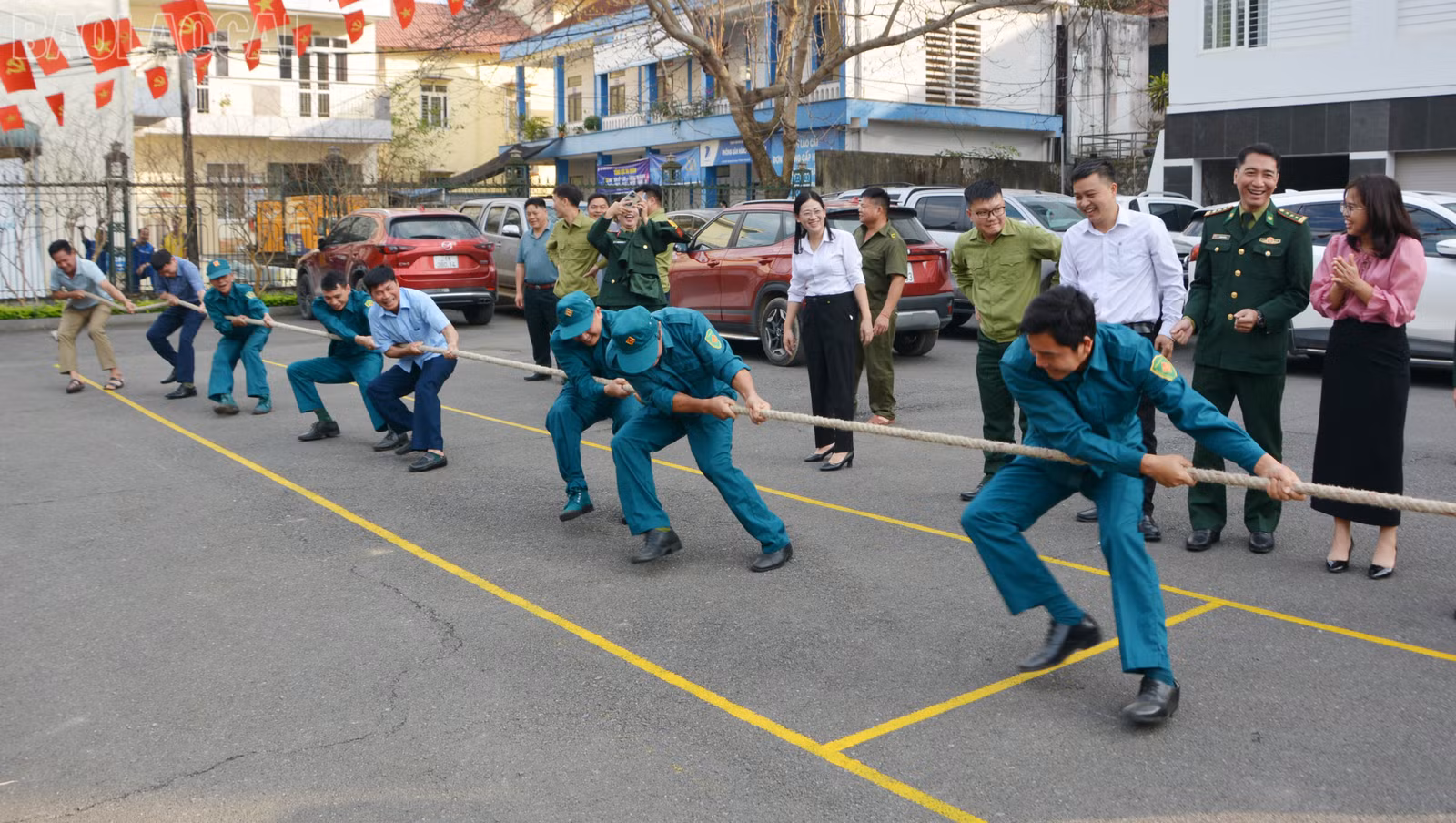 baolaocai-tl_dsc-1837.jpg