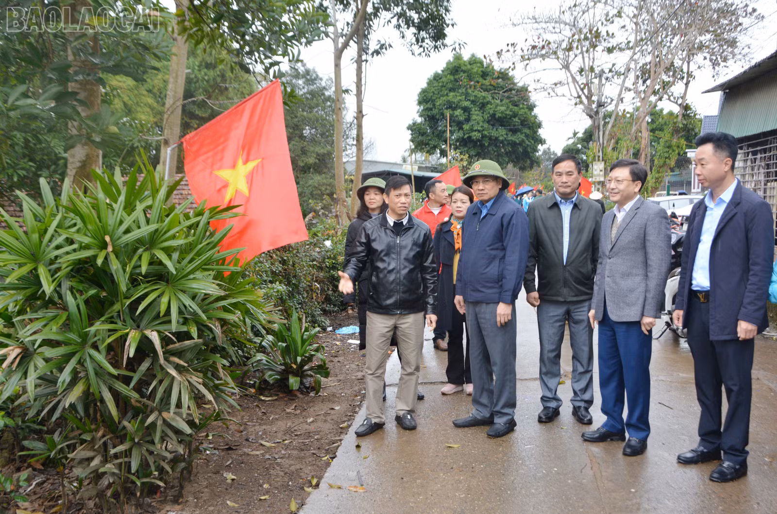 baolaocai-tl_dsc-4728.jpg