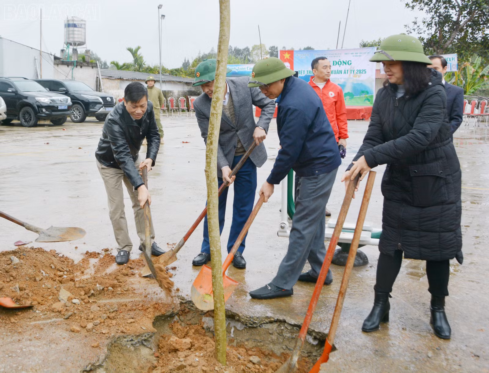 baolaocai-tl_dsc-4698.jpg