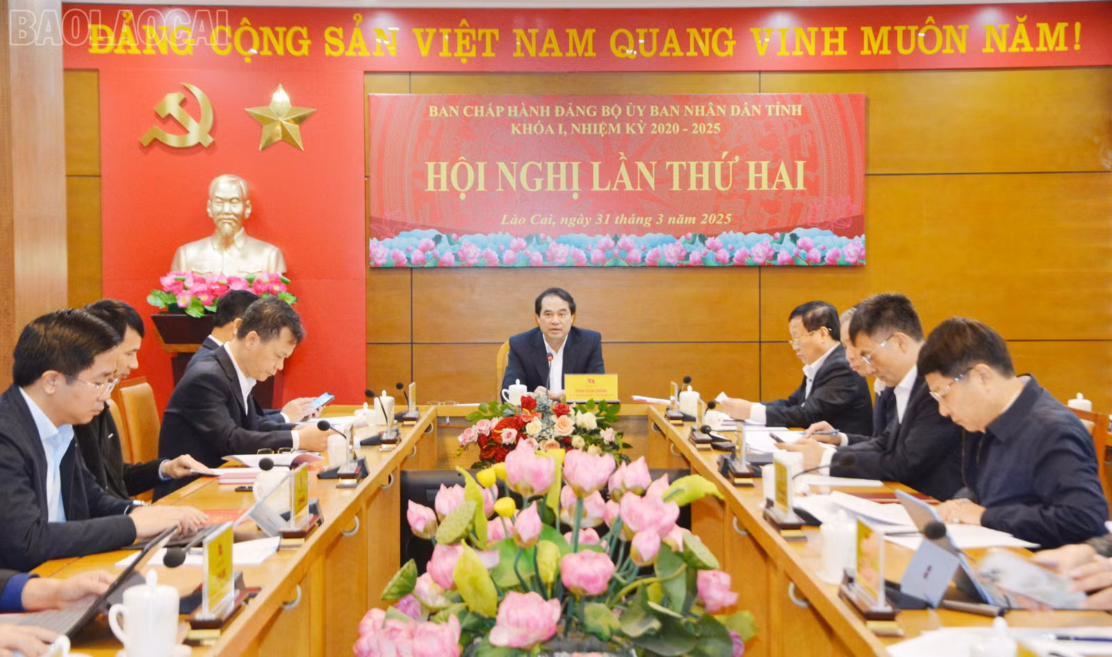 baolaocai-tl_dsc-6036.jpg