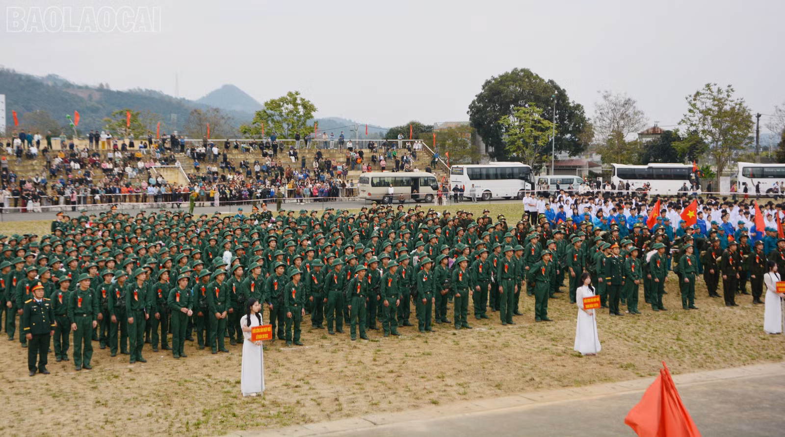 baolaocai-tl_dsc-1844.jpg