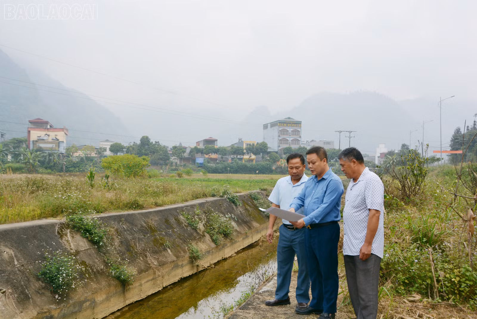 baolaocai-tl_dsc-9203.jpg