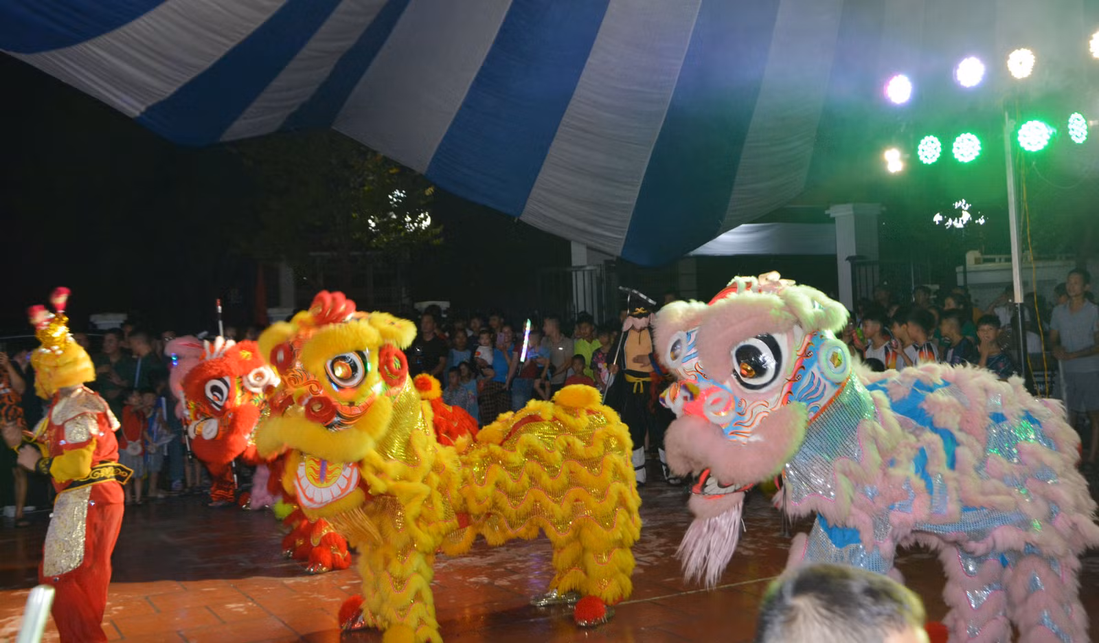 dsc-8737.jpg
