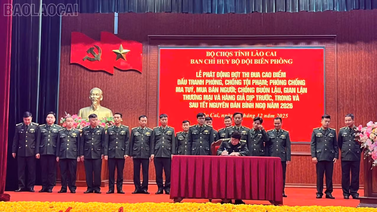baolaocai-tl_z7305267147516-51ccacd7fd85a455c911b39f0ffe33e0.jpg