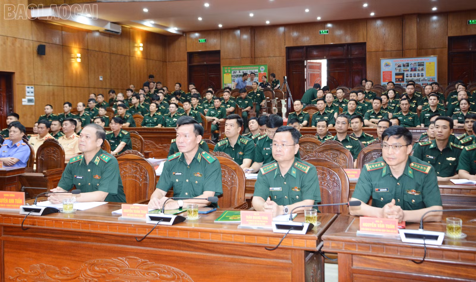 baolaocai-tl_dsc-2651.jpg