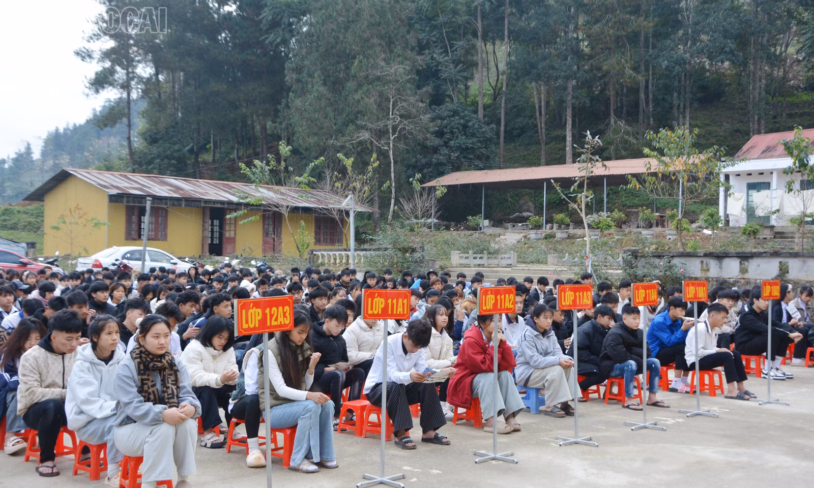 baolaocai-tl_dsc-0275.jpg