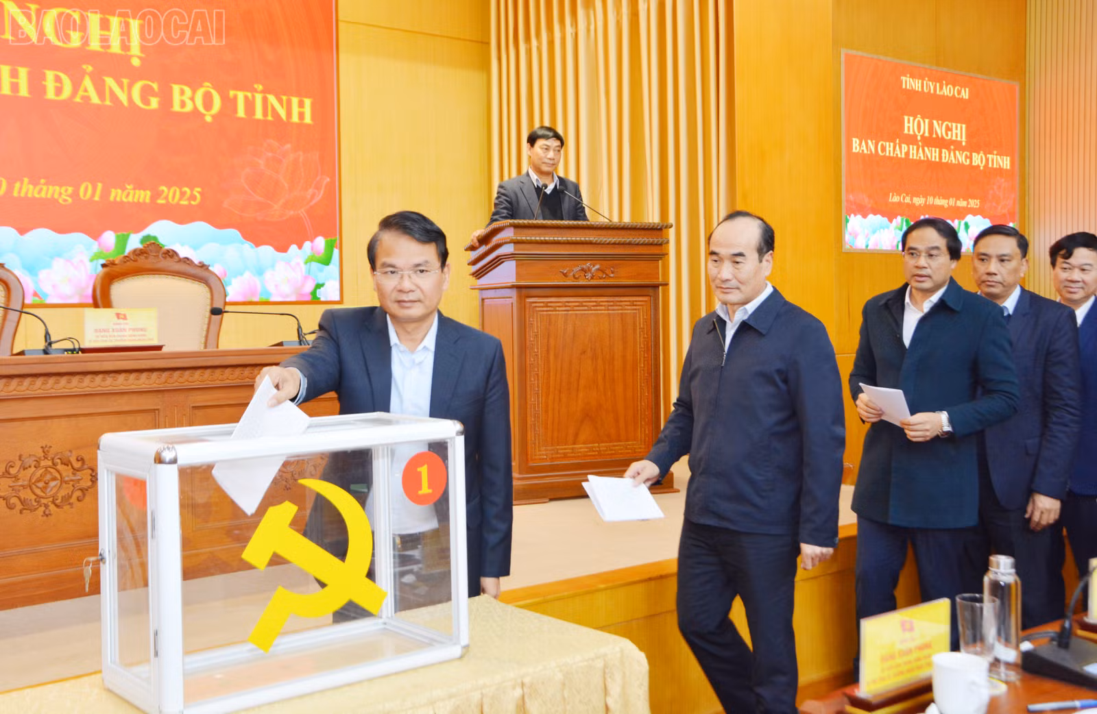 baolaocai-tl_dsc-3765.jpg