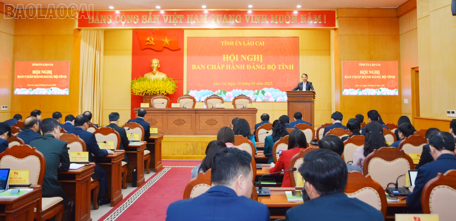 baolaocai-tl_dsc-3739.jpg