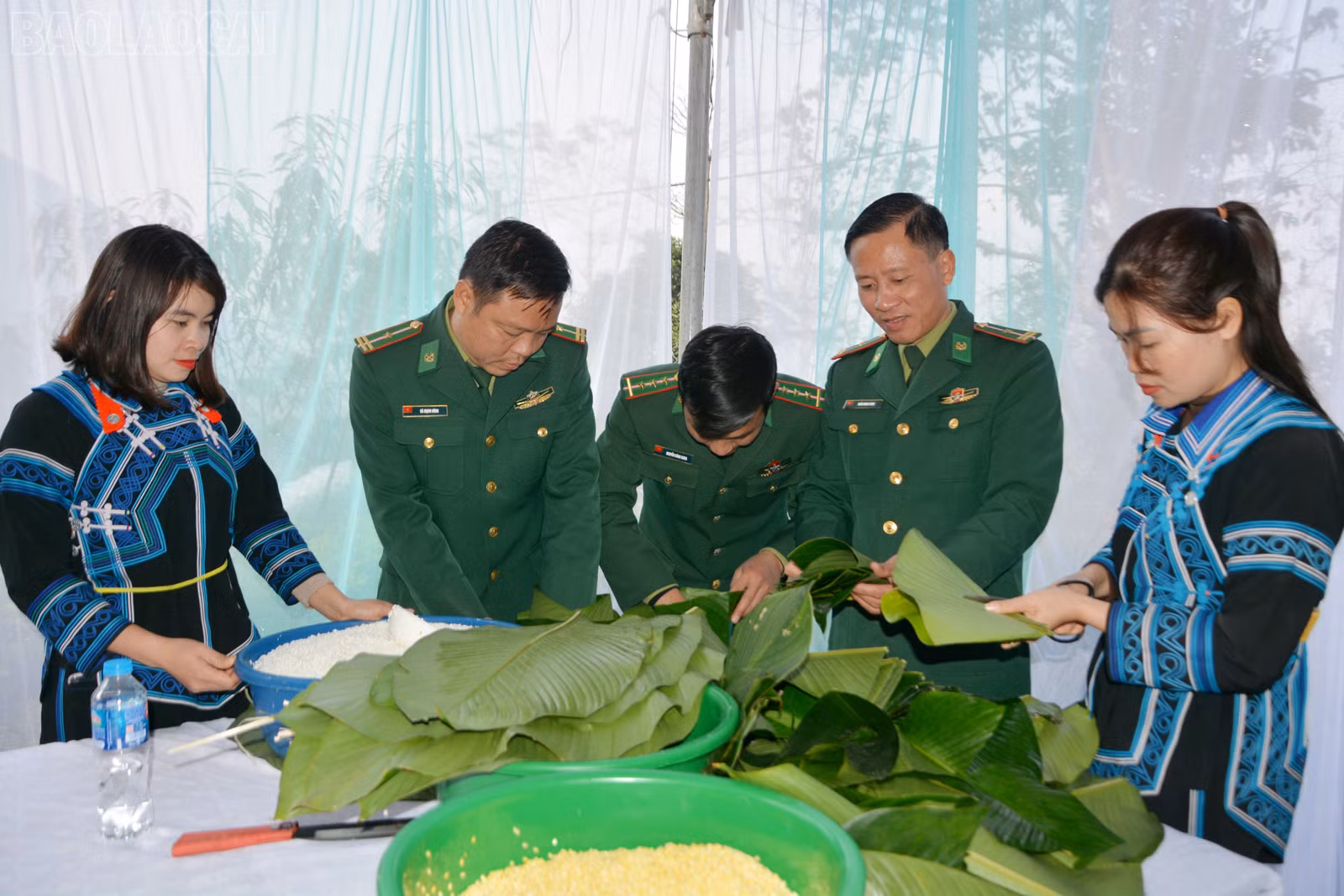 baolaocai-tl_dsc-3125.jpg