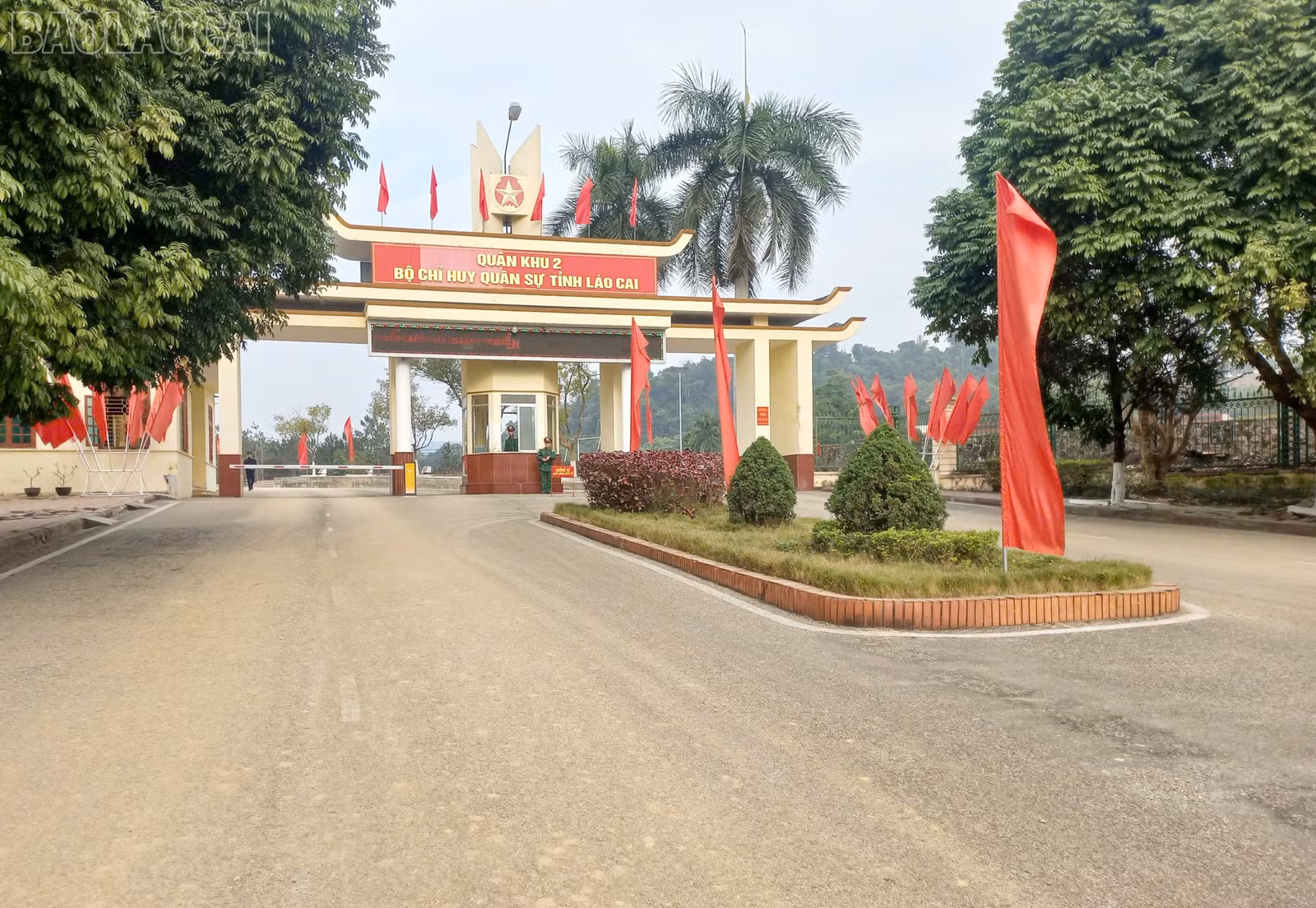 baolaocai-tl_z6261492749591-7ce0a408ebc0d9029aa3697695d70e44.jpg