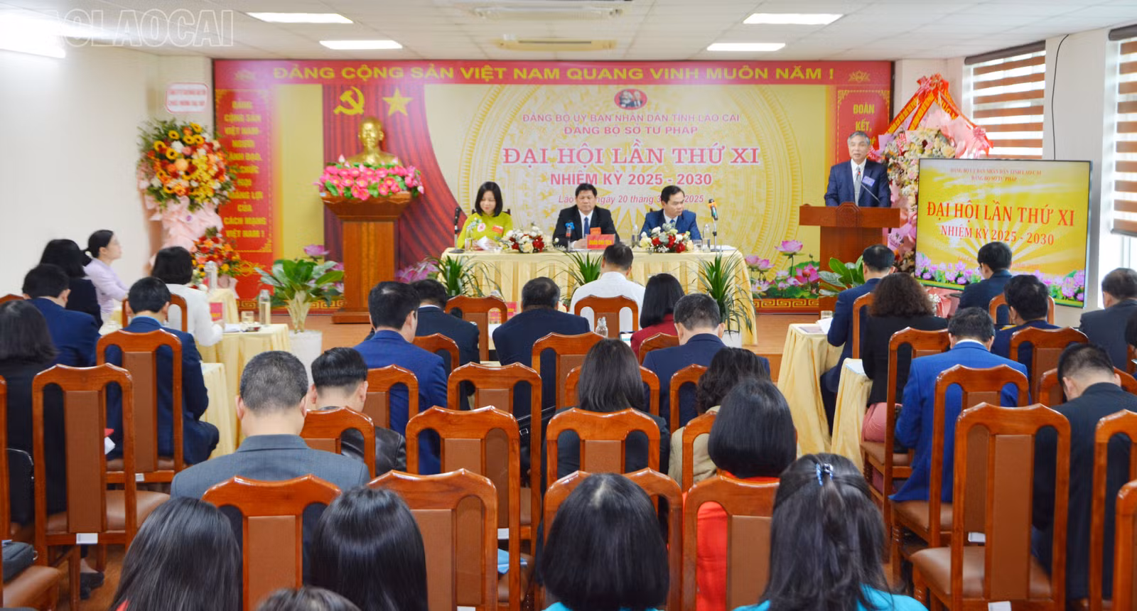 baolaocai-tl_dsc-5772.jpg