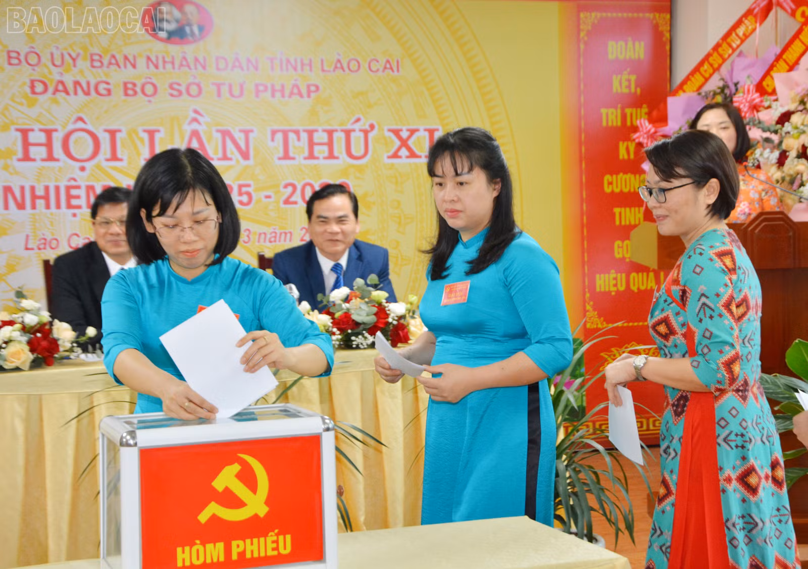 baolaocai-tl_dsc-5792.jpg