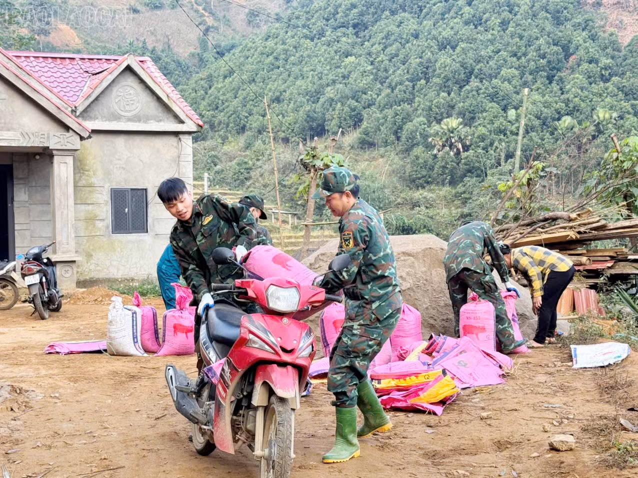 baolaocai-tl_z7360258786341-a027a84a892874d57a59e913e3dbe813.jpg