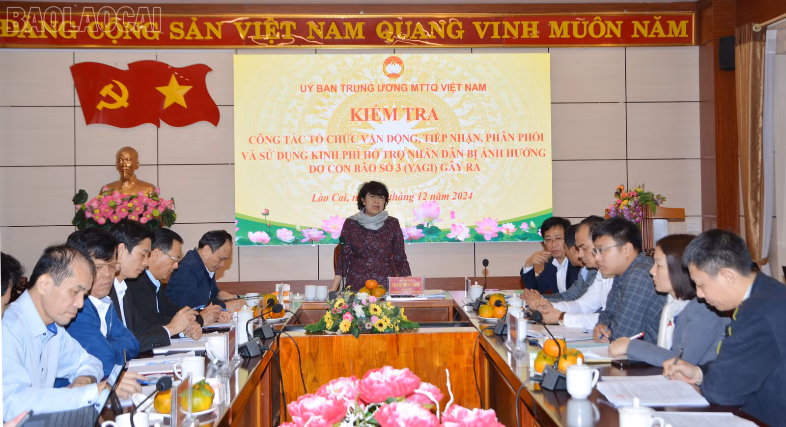 baolaocai-tl_dsc-1480.jpg