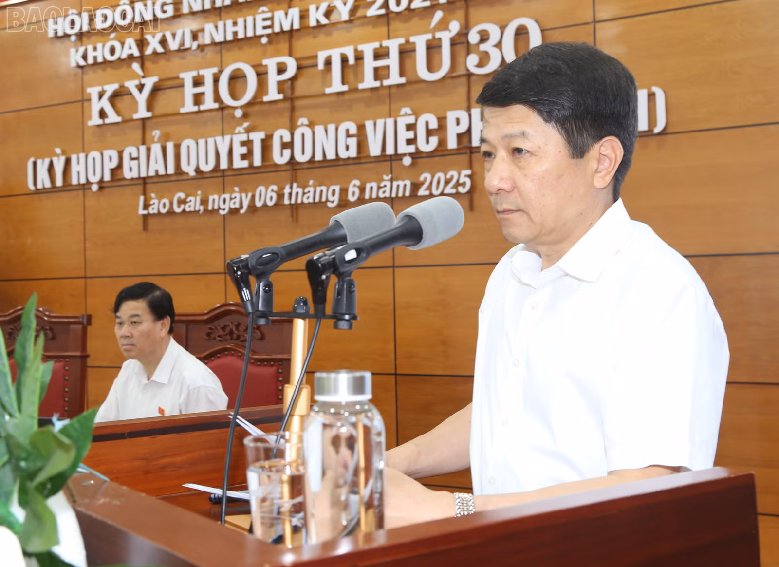 baolaocai-tl_img-7328.jpg