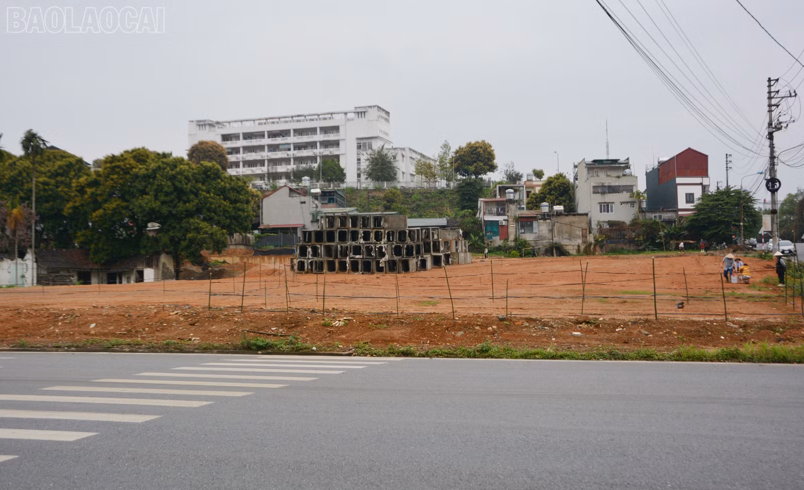 baolaocai-tl_dsc-5752.jpg