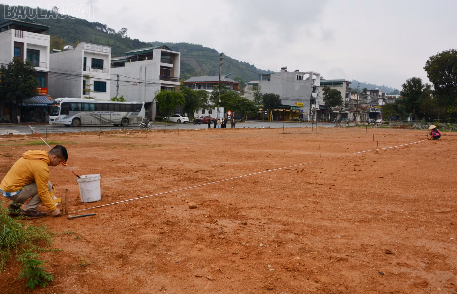 baolaocai-tl_dsc-5748.jpg