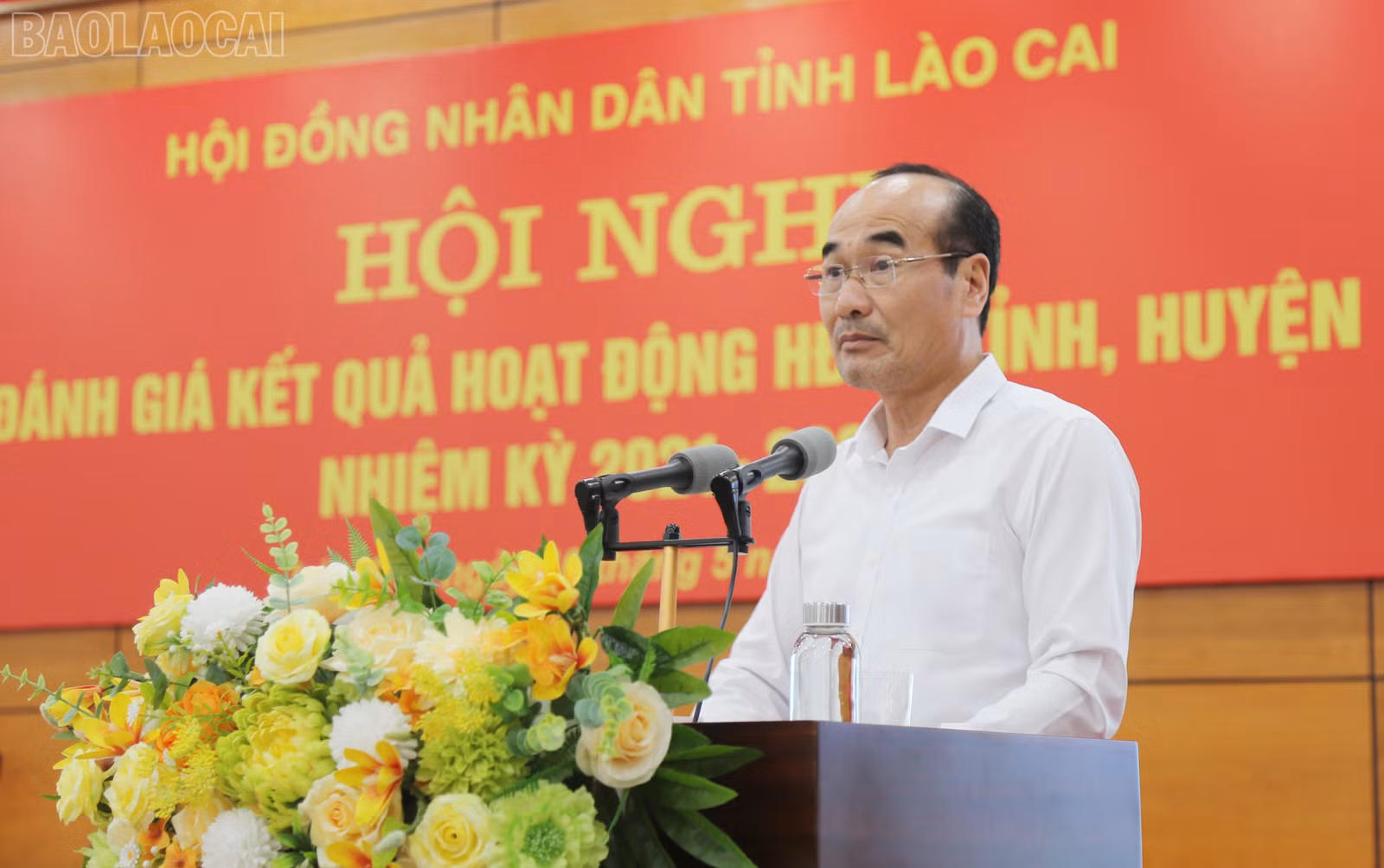 baolaocai-tl_img-6693.jpg