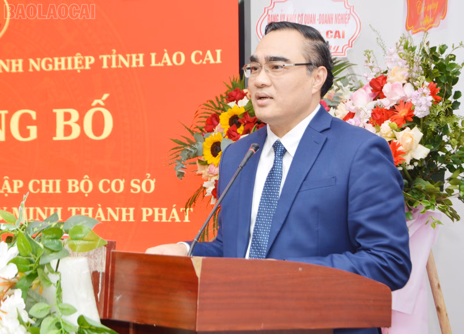 baolaocai-tl_dsc-1325.jpg