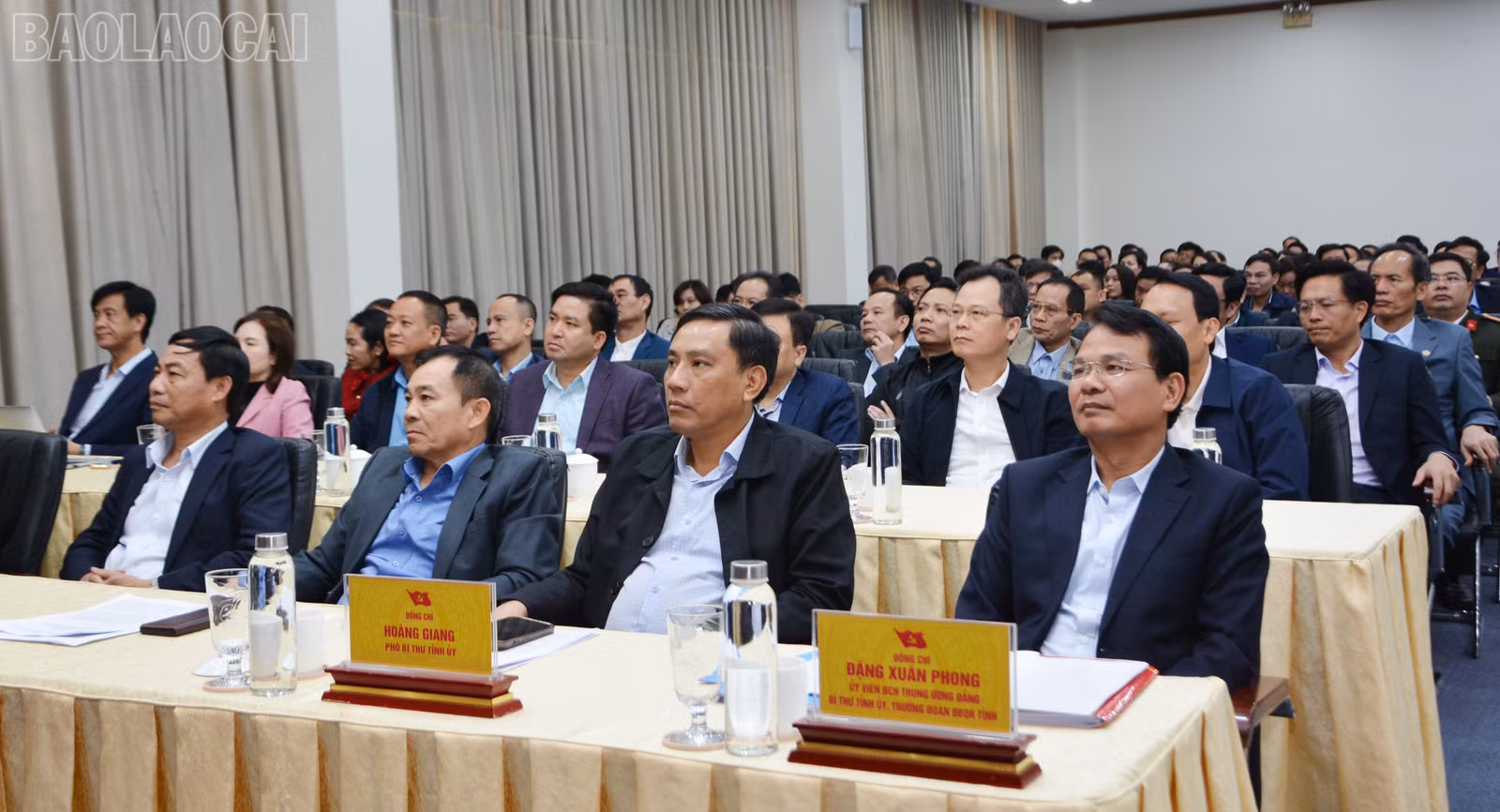baolaocai-tl_dsc-1238.jpg