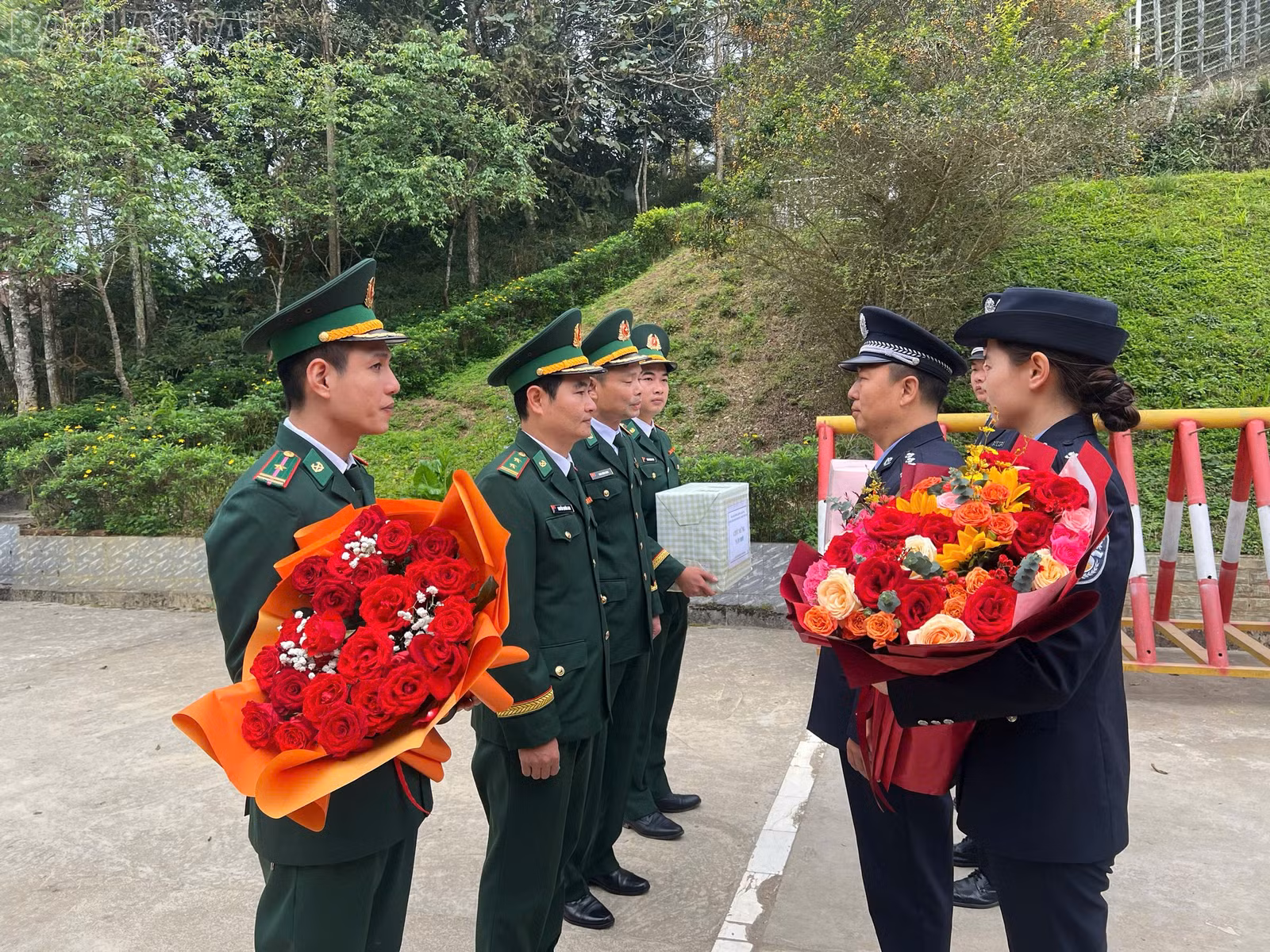 baolaocai-tl_gen-h-z7541218822589-008b673cfe6deb0d788205edcf527b9f.jpg