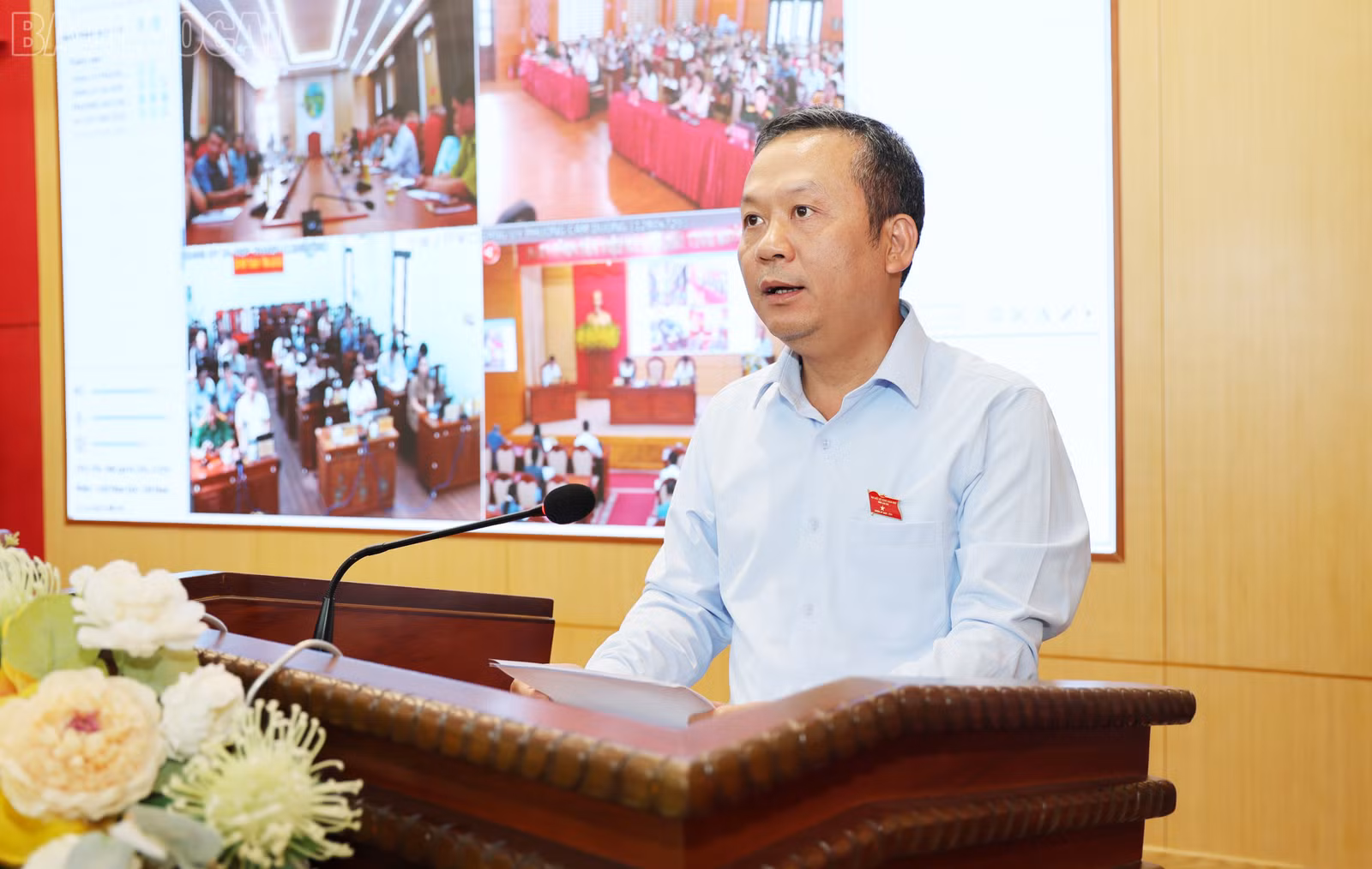 baolaocai-tl_img-4775.jpg