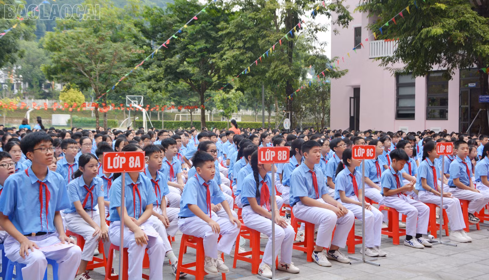 Năm học 2026 - 2027, nhà trường có gần 800 học sinh ở các khối, lớp.