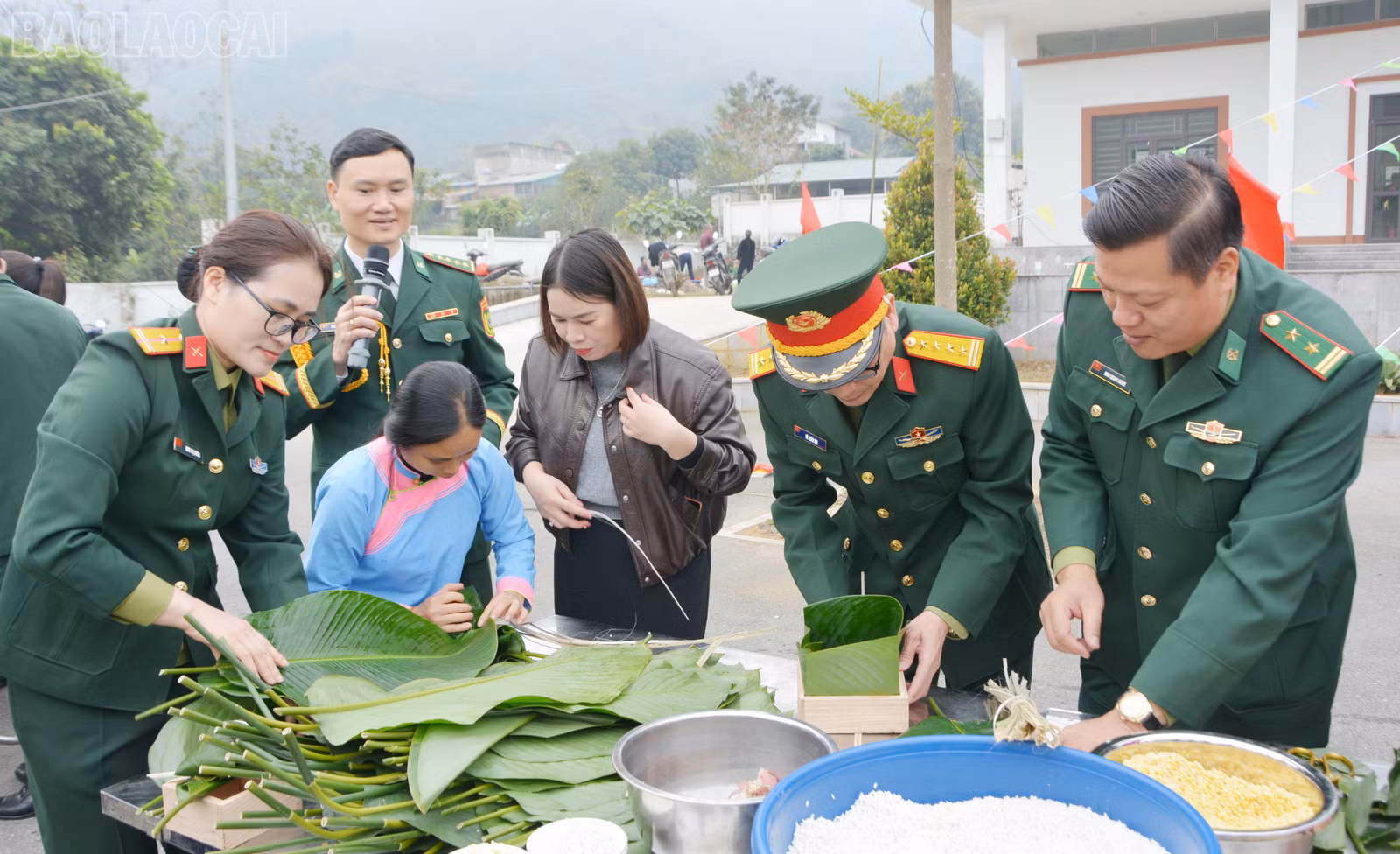 baolaocai-tl_dsc-1080.jpg