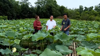 Khoa học bén rễ từ đồng đất quê hương