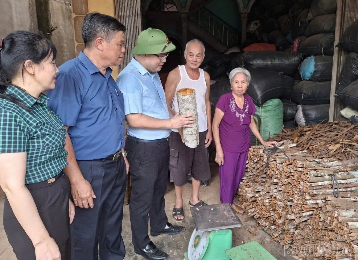 baolaocai-br_z7171193135028-c7c1a2a2e873980d1158874094e8497b.jpg
