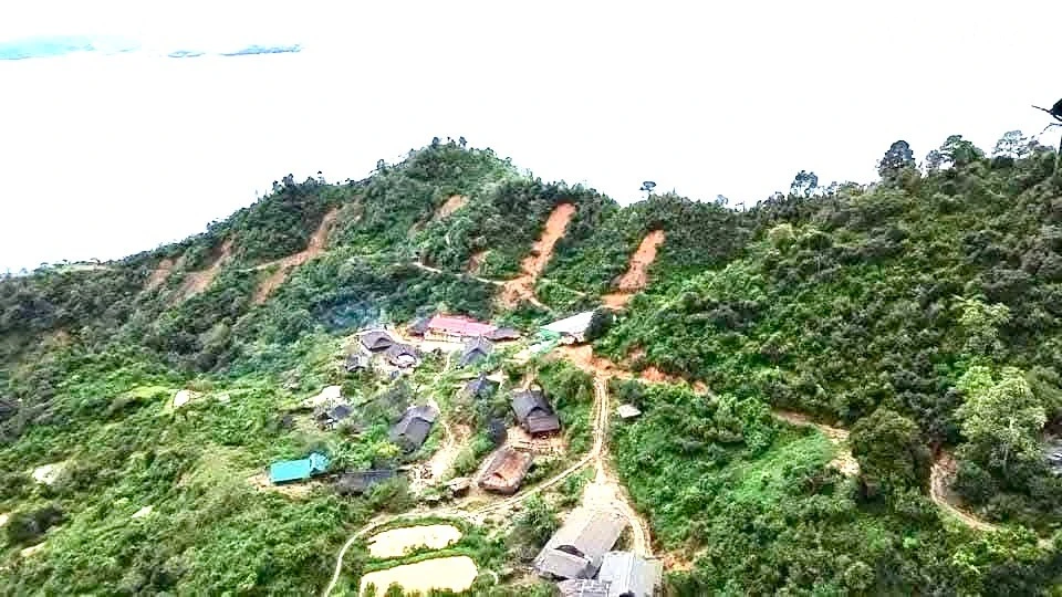baolaocai-tr_z7353129248300-c7afbb0108899799d97197d56ddaf756.jpg