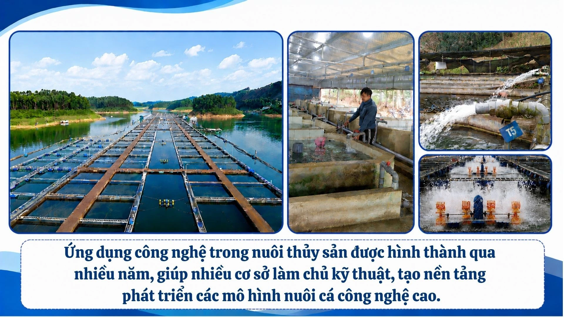 ung-dung-cong-nghe-trong-nuoi-thuy-san-duoc-hinh-thanh-qua-nhieu-nam-giup-nhieu-co-so-lam-chu-ky-thuat-tao-nen-tang-phat-trien-cac-mo-hinh-nuoi-ca-cong-nghe-cao.jpg