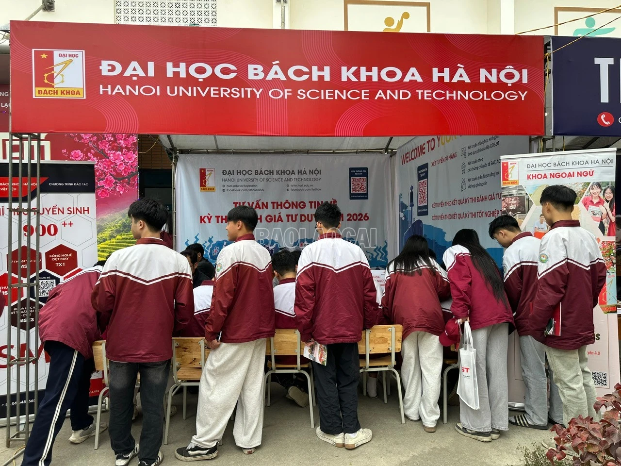 baolaocai-c_z7482334742672-a94f1b33296989b2d484c47c5367c8ff-copy.jpg