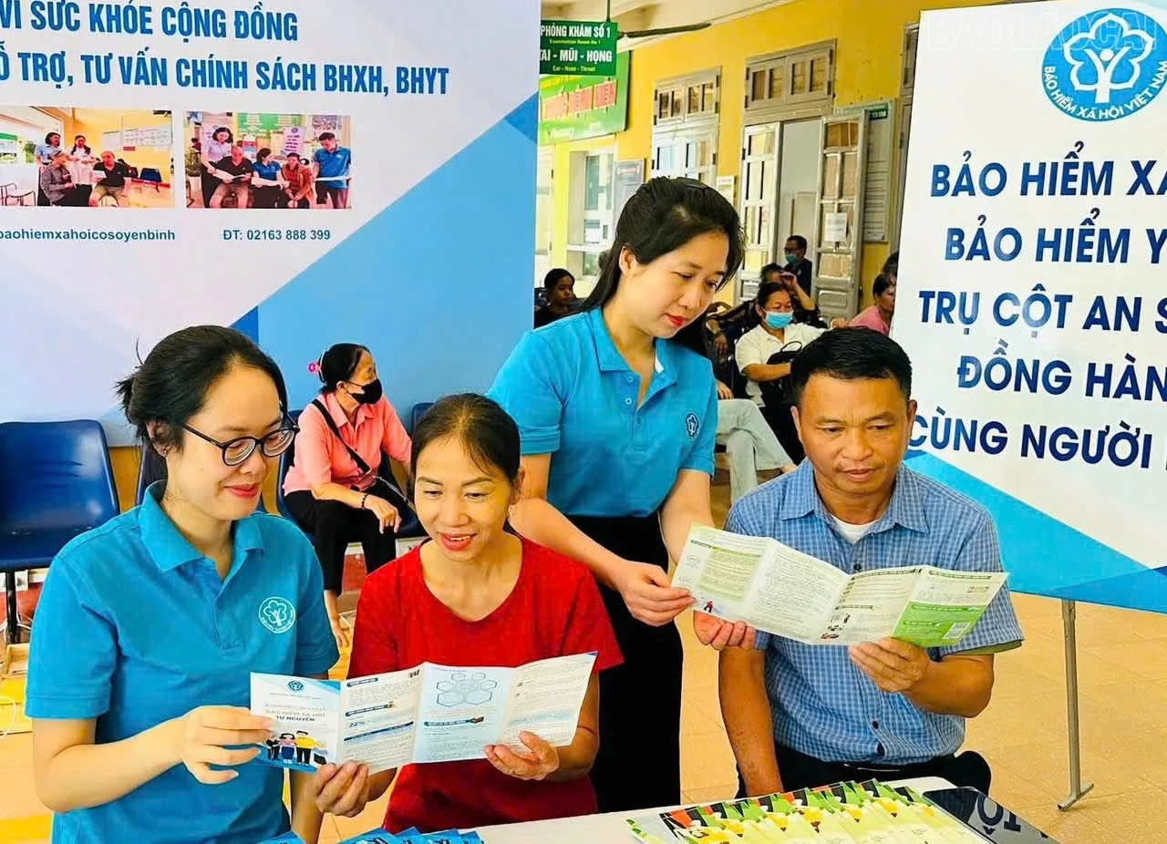 baolaocai-tr_1785214486068-2233525538719524409-8703897420327597324-e54c00424f540701817b251dfc9ecc0c.jpg