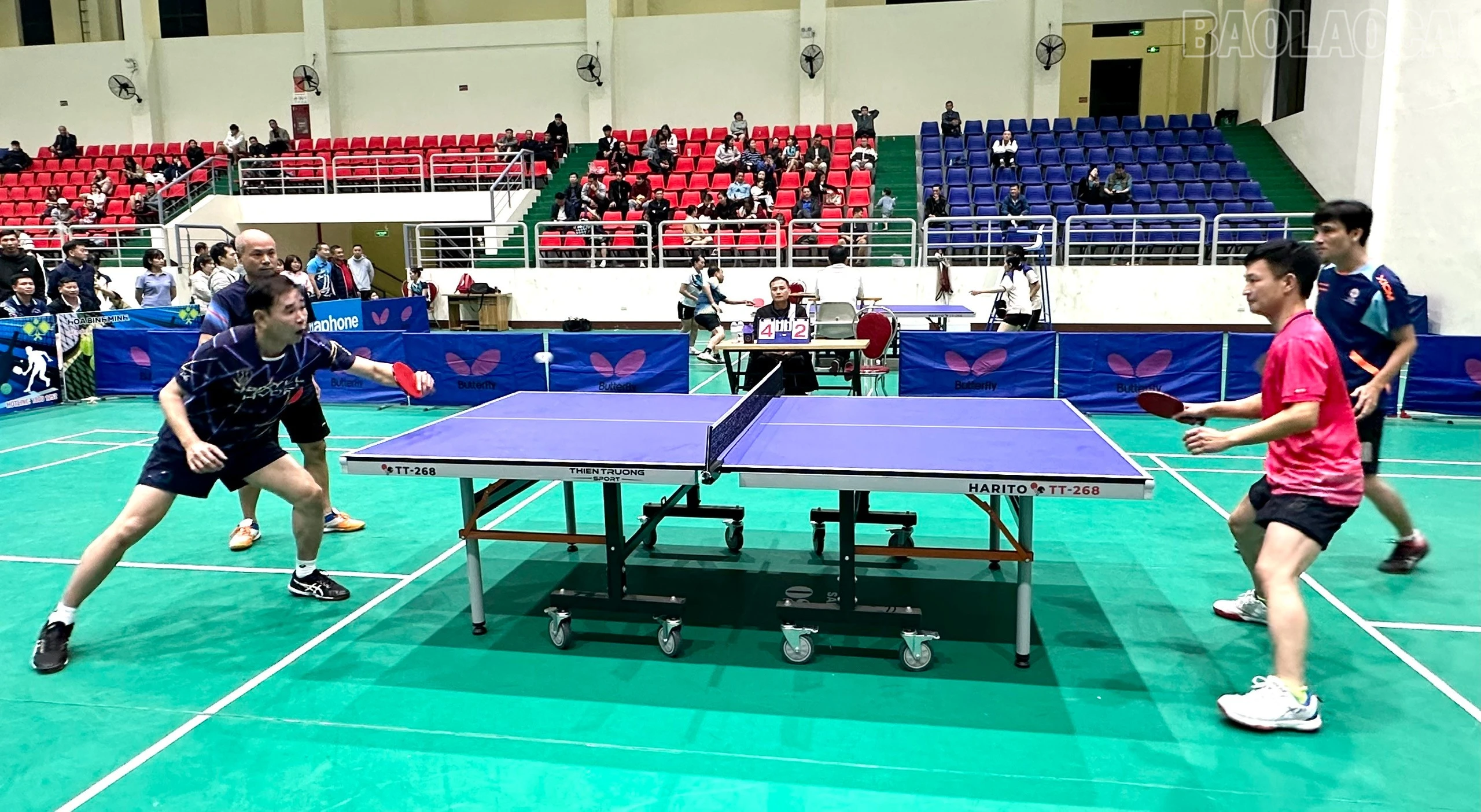 baolaocai-tr_z7324008739788-5e93d1ab2f03421fd9aca0f786b41a01.jpg