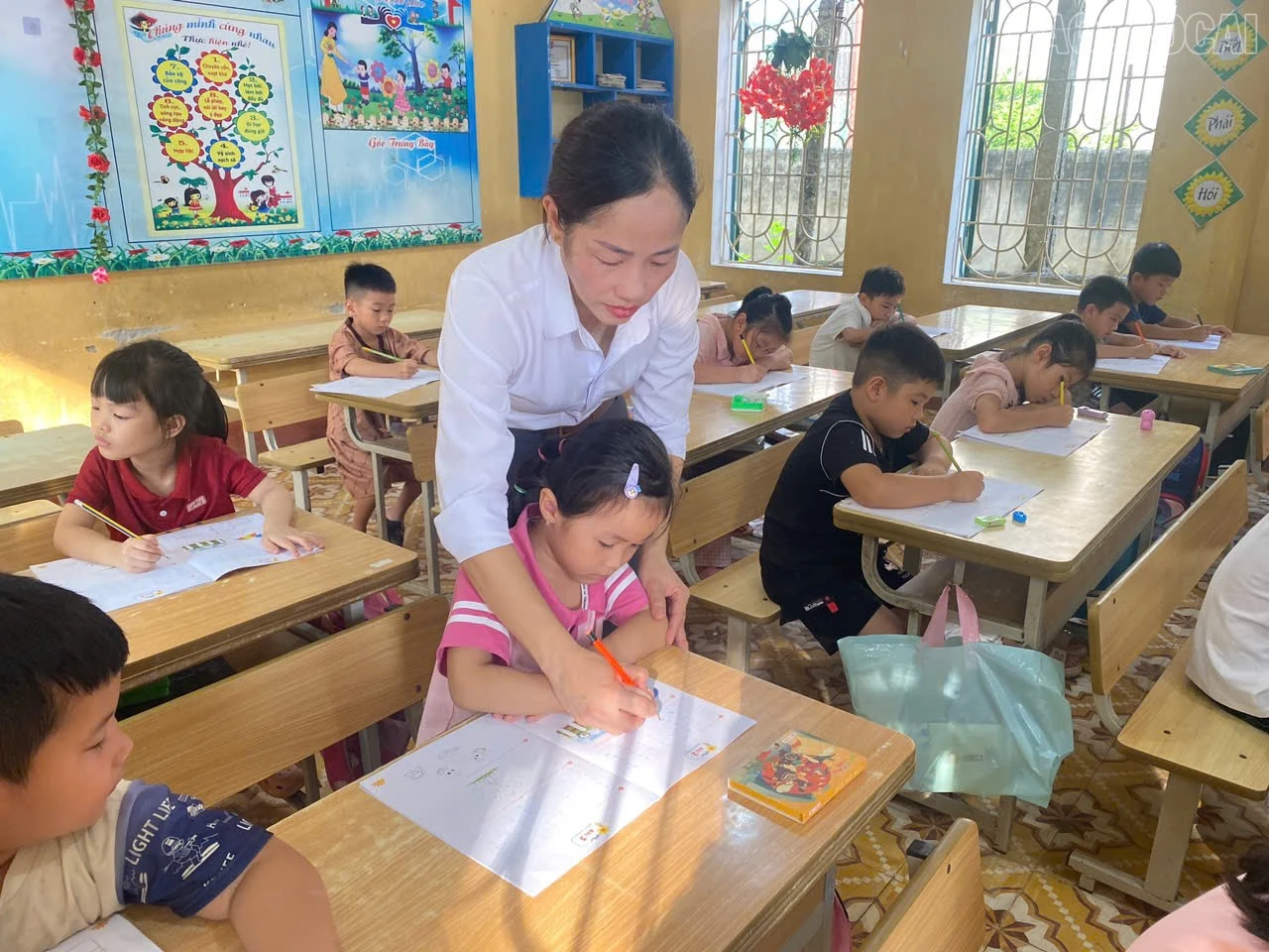 baolaocai-tr_z6897817224820-e65b37e5246a28a7e3d262ad12f04a0f.jpg