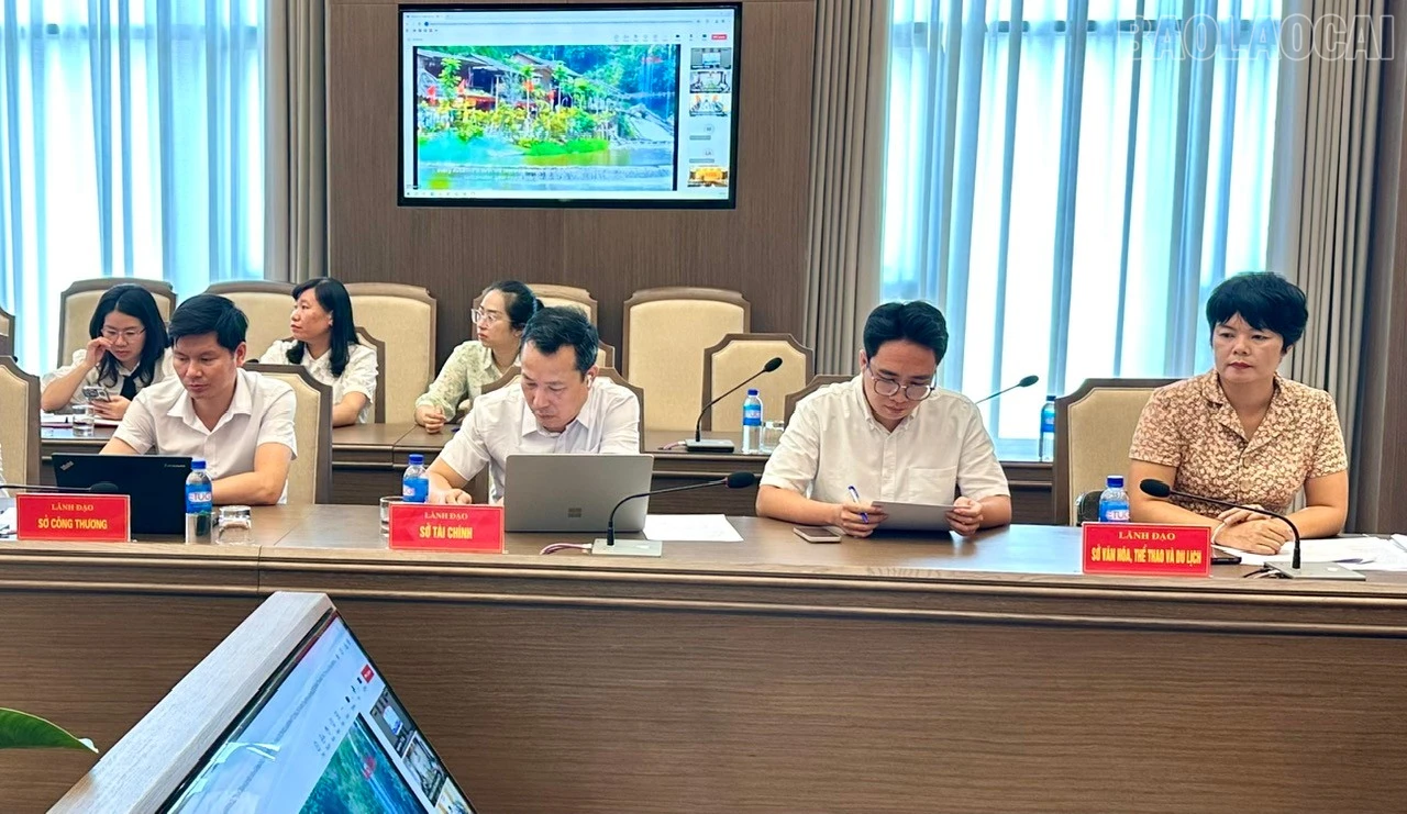 Các đại biểu tham dự buổi làm việc. baolaocai-tr_1786610051894-2233525538719524409-8703897420327597324-767559be371f363cb80b4fa1606eb093.jpg